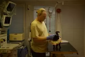 Mit Herz für Katzen