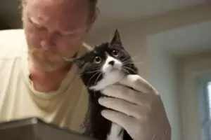 Mit Herz für Katzen