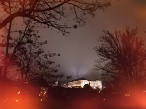 Mit Herz für Katzen