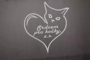 Mit Herz für Katzen