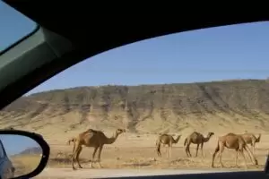 Oman