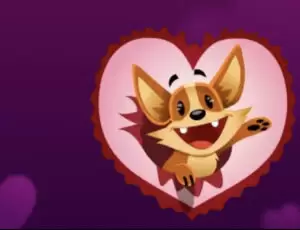 Mit Herz für Katzen