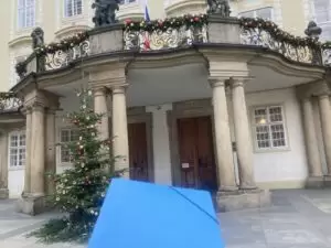 Mit Herz für Katzen