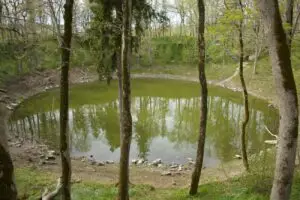 ESTONSKO